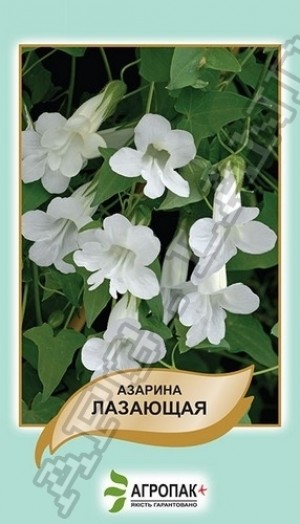 Азаріна Лазаюча 20 нас