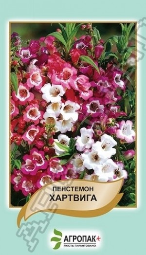 Пенстемон Хартвіга суміш 0,1 гр