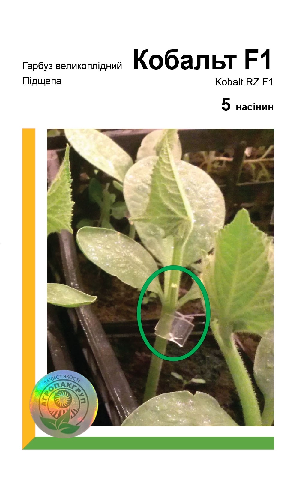 Підщепа Кобальт F1 5нас