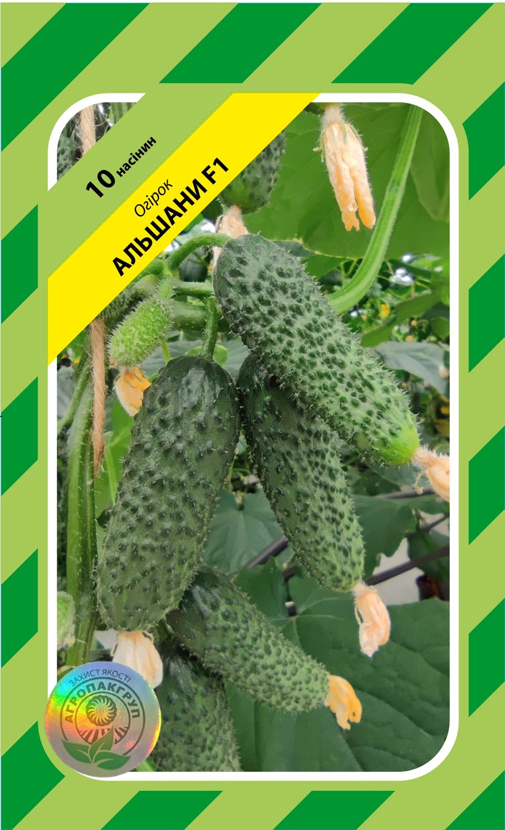 Альшани F1 10нас